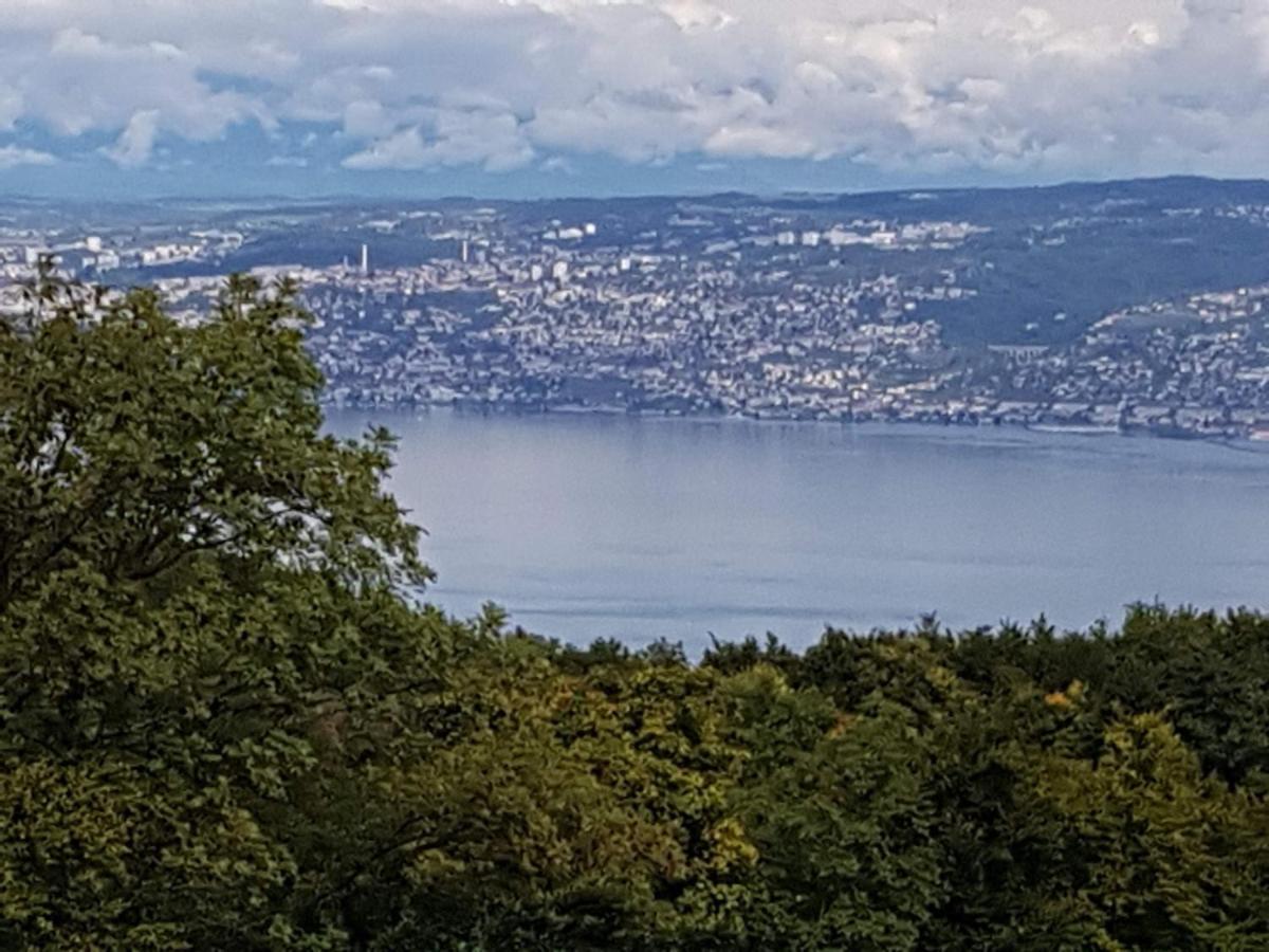 Superbe Appartement T2 3 Etoiles 40M2 Pied Des Pistes Vue Sur Le Lac Thollon-les-Memises Eksteriør bilde